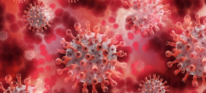 Guidelines based on evidence-based medicine Directive 00881. Guidelines on antibacterial therapy.
