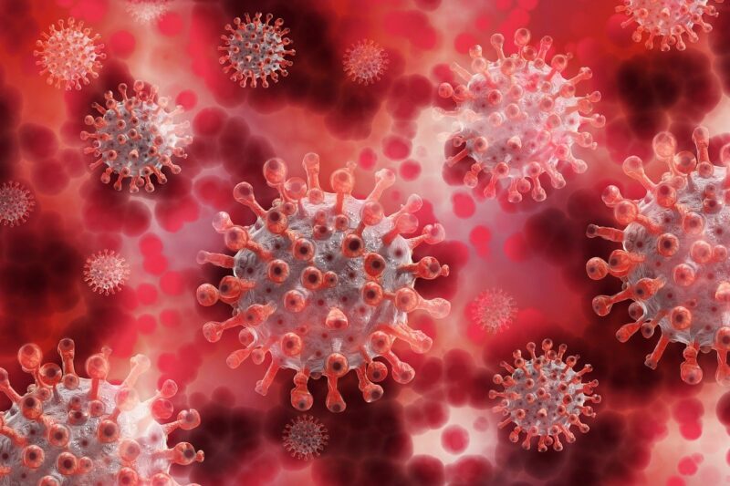 Guidelines based on evidence-based medicine Directive 00881. Guidelines on antibacterial therapy.