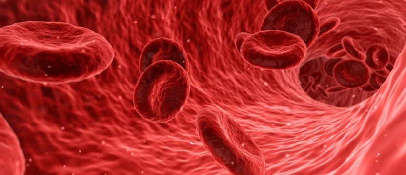 Effect of oral liposomal iron versus intravenous iron for the treatment of iron deficiency anemia in patients with CKD: a randomized study