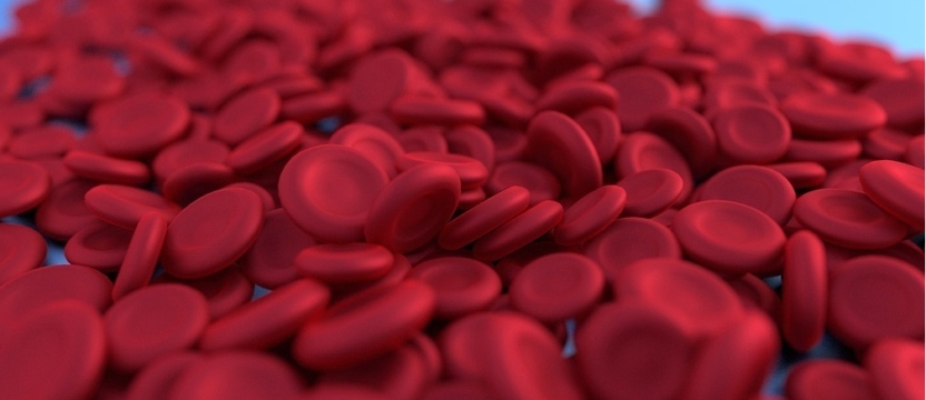 Oral liposomal iron: a proposal for the treatment of anemia