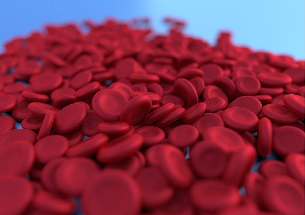 Oral liposomal iron: a proposal for the treatment of anemia